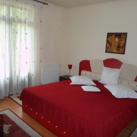 Pensiunea Speranta Hotel Sovata Ngoại thất bức ảnh