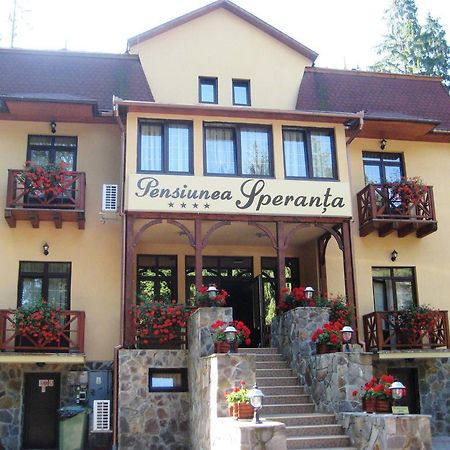 Pensiunea Speranta Hotel Sovata Ngoại thất bức ảnh