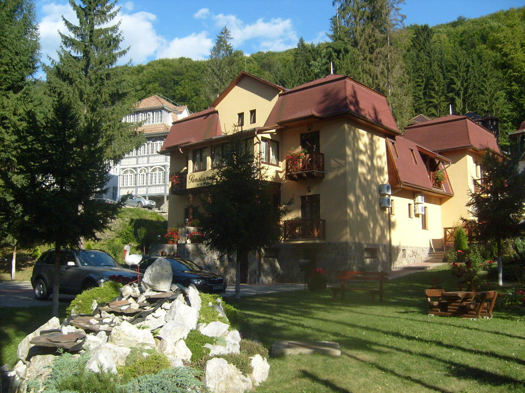Pensiunea Speranta Hotel Sovata Ngoại thất bức ảnh