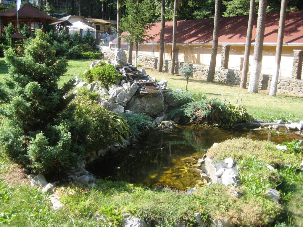 Pensiunea Speranta Hotel Sovata Ngoại thất bức ảnh